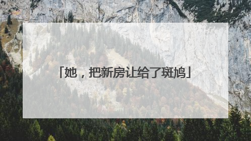 她，把新房让给了斑鸠