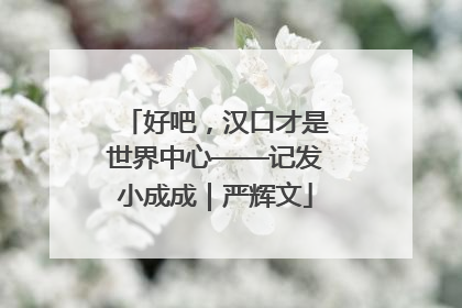 好吧，汉口才是世界中心——记发小成成｜严辉文