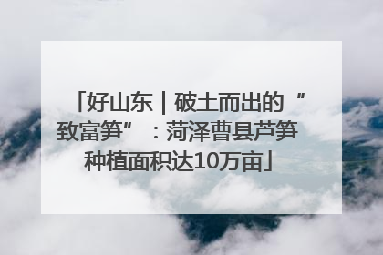 好山东｜破土而出的“致富笋”：菏泽曹县芦笋种植面积达10万亩
