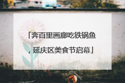 奔百里画廊吃铁锅鱼，延庆区美食节启幕