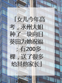 女儿今年高考，永州大姐种了一块向日葵田为她祝福：有200多棵，送了很多给其他家长
