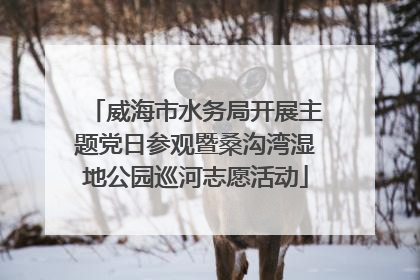 威海市水务局开展主题党日参观暨桑沟湾湿地公园巡河志愿活动