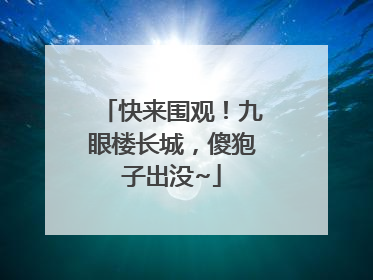 快来围观！九眼楼长城，傻狍子出没~