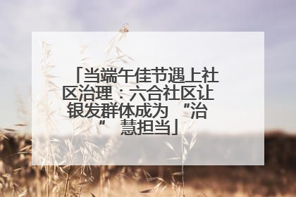当端午佳节遇上社区治理：六合社区让银发群体成为 “治” 慧担当