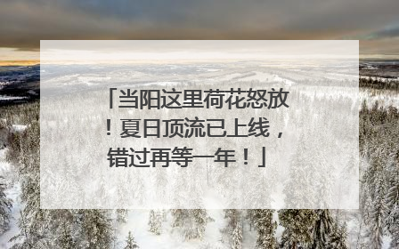 当阳这里荷花怒放！夏日顶流已上线，错过再等一年！
