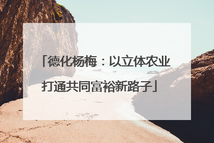 德化杨梅：以立体农业打通共同富裕新路子