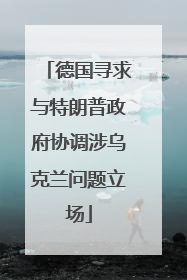 德国寻求与特朗普政府协调涉乌克兰问题立场