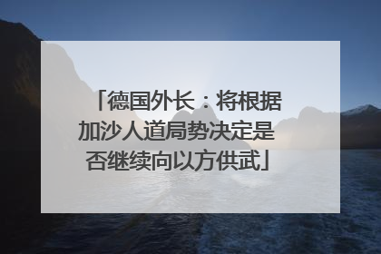 德国外长：将根据加沙人道局势决定是否继续向以方供武