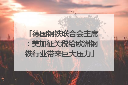 德国钢铁联合会主席：美加征关税给欧洲钢铁行业带来巨大压力