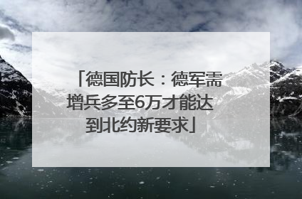 德国防长：德军需增兵多至6万才能达到北约新要求