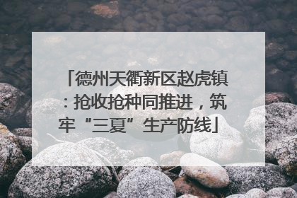 德州天衢新区赵虎镇：抢收抢种同推进，筑牢“三夏”生产防线