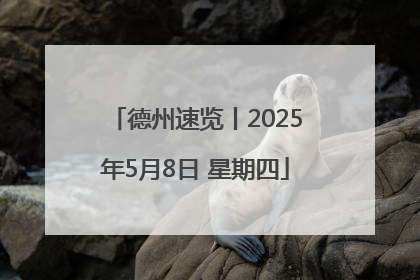 德州速览丨2025年5月8日 星期四