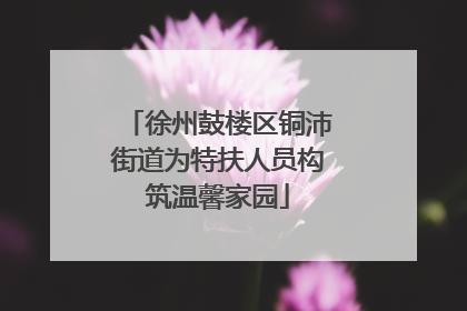 徐州鼓楼区铜沛街道为特扶人员构筑温馨家园