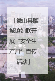 微山县驩城镇妇联开展“安全生产月”宣传活动