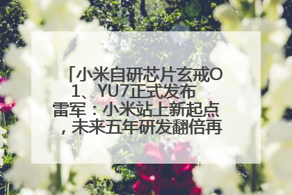 小米自研芯片玄戒O1、YU7正式发布 雷军：小米站上新起点，未来五年研发翻倍再投2000亿元