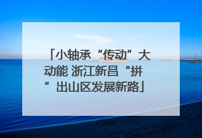 小轴承“传动”大动能 浙江新昌“拼”出山区发展新路