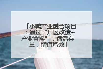 小鸭产业融合项目：通过“厂区改造+产业置换”，盘活存量，增值增效