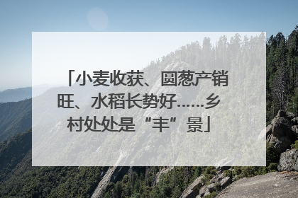 小麦收获、圆葱产销旺、水稻长势好……乡村处处是“丰”景