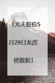 尤夫股份5月29日龙虎榜数据