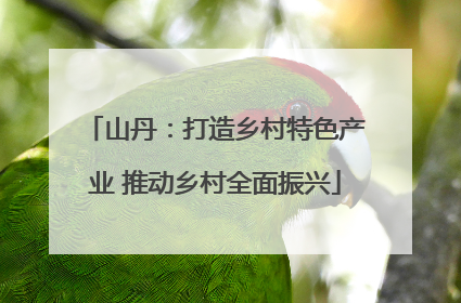 山丹：打造乡村特色产业 推动乡村全面振兴