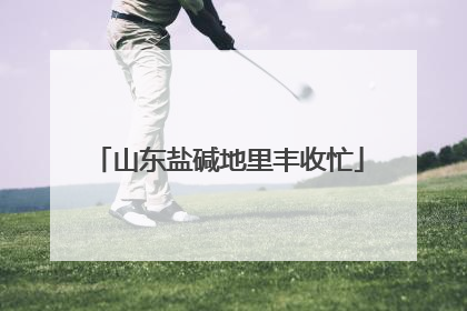 山东盐碱地里丰收忙