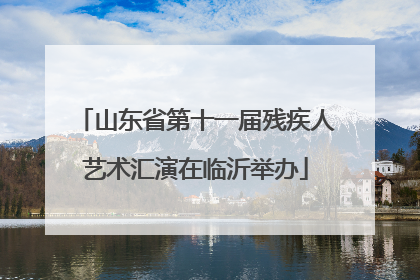 山东省第十一届残疾人艺术汇演在临沂举办