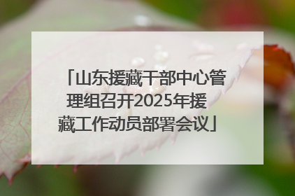 山东援藏干部中心管理组召开2025年援藏工作动员部署会议