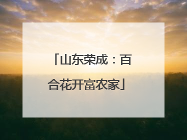山东荣成：百合花开富农家