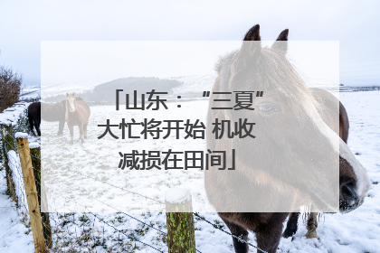 山东：“三夏”大忙将开始 机收减损在田间