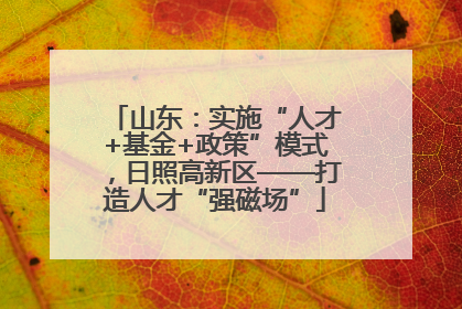 山东：实施“人才+基金+政策”模式，日照高新区——打造人才“强磁场”