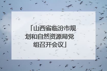 山西省临汾市规划和自然资源局党组召开会议