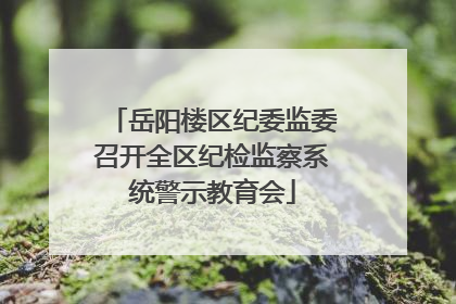 岳阳楼区纪委监委召开全区纪检监察系统警示教育会