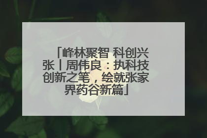 峰林聚智 科创兴张丨周伟良：执科技创新之笔，绘就张家界药谷新篇