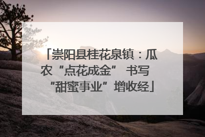 崇阳县桂花泉镇：瓜农“点花成金” 书写“甜蜜事业”增收经
