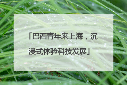 巴西青年来上海，沉浸式体验科技发展