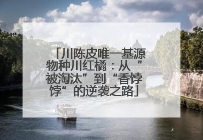 川陈皮唯一基源物种川红橘：从“被淘汰”到“香饽饽”的逆袭之路
