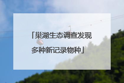 巢湖生态调查发现多种新记录物种