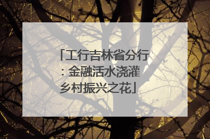 工行吉林省分行：金融活水浇灌 乡村振兴之花