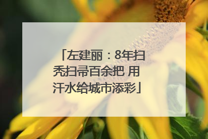 左建丽：8年扫秃扫帚百余把 用汗水给城市添彩