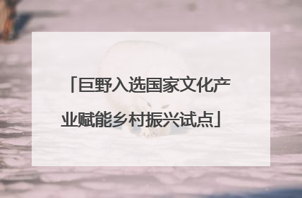 巨野入选国家文化产业赋能乡村振兴试点