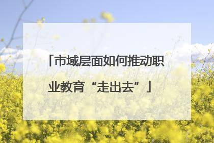 市域层面如何推动职业教育“走出去”