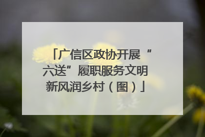 广信区政协开展“六送”履职服务文明新风润乡村（图）