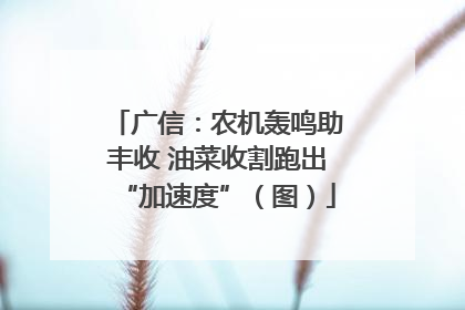 广信：农机轰鸣助丰收 油菜收割跑出“加速度”（图）