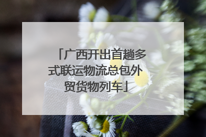 广西开出首趟多式联运物流总包外贸货物列车