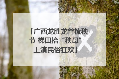 广西龙胜龙脊梳秧节 梯田抬“秧母”上演民俗狂欢