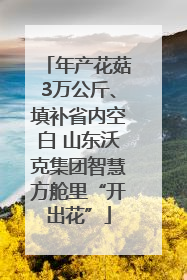 年产花菇3万公斤、填补省内空白 山东沃克集团智慧方舱里“开出花”