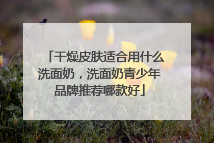 干燥皮肤适合用什么洗面奶，洗面奶青少年品牌推荐哪款好