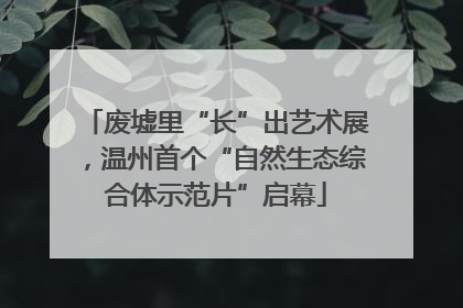 废墟里“长”出艺术展，温州首个“自然生态综合体示范片”启幕