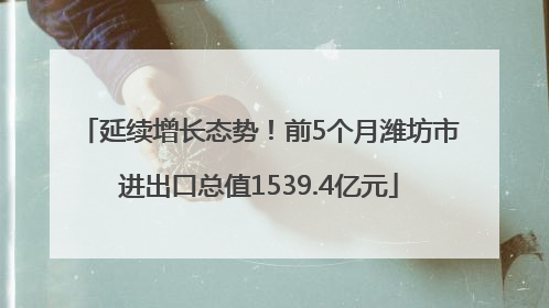 延续增长态势！前5个月潍坊市进出口总值1539.4亿元