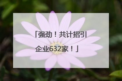 强劲！共计招引企业632家！